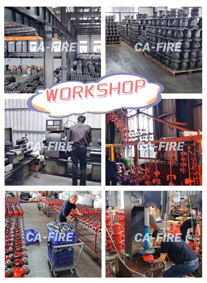 workshop workshop