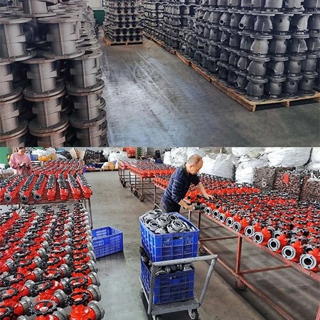 product-450-450